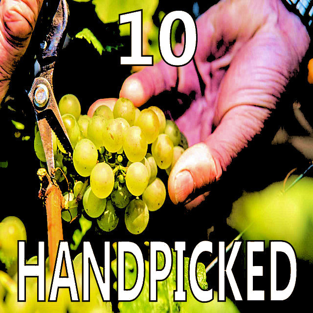 10 handpicked