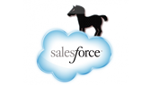 Zeus Found Crawling through Salesforce.com